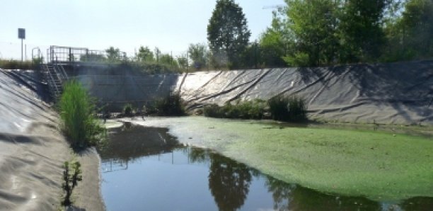 Tivaouane-Diaksao : Le danger des bassins de rétention