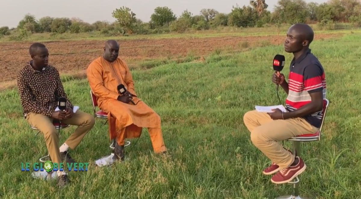 MATAM :LA CAMPAGNE AGRICOLE À DEUX VITESSES