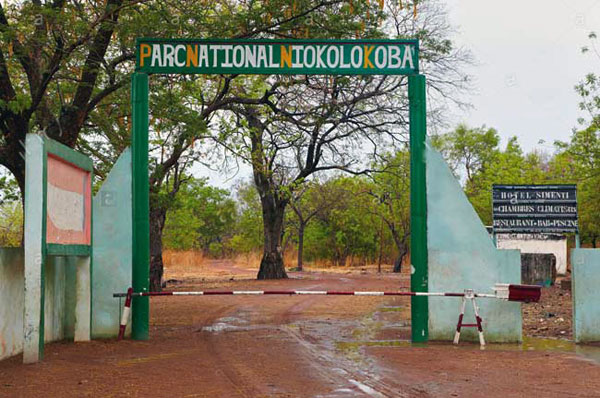 DÉCOUVERTE | NIOKOLO-KOBA OU LA NATURE À L’ÉTAT PUR