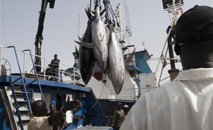 L’UNION NATIONALE DES MAREYEURS DU SÉNÉGAL PLAIDE POUR LA MISE EN ŒUVRE DE LA CHARTE POUR UNE PÊCHE DURABLE