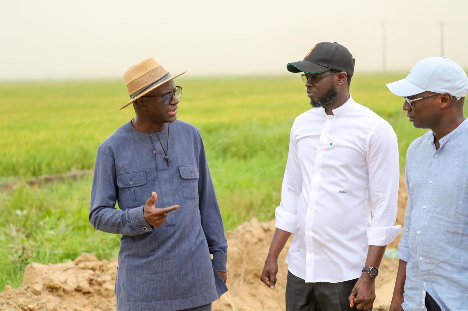 CAMPAGNE AGRICOLE | LE PRÉSIDENT DIOMAYE FAYE APPELLE À UN LANCEMENT RAPIDE DE LA CAMPAGNE DE COMMERCIALISATION