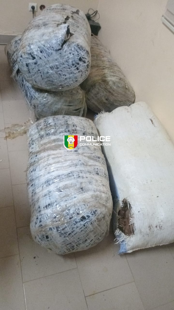 MBOUR : 160,75 KG DE CHANVRE INDIEN SAISIS PAR LA BRIGADE RÉGIONALE DES STUPÉFIANTS