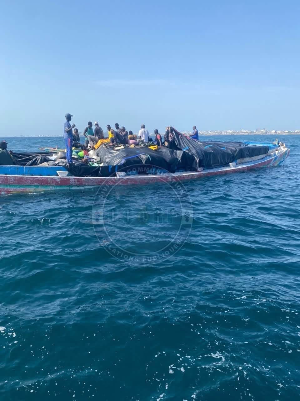 Dakar : une cargaison de six tonnes de poulet de contrebande interceptée